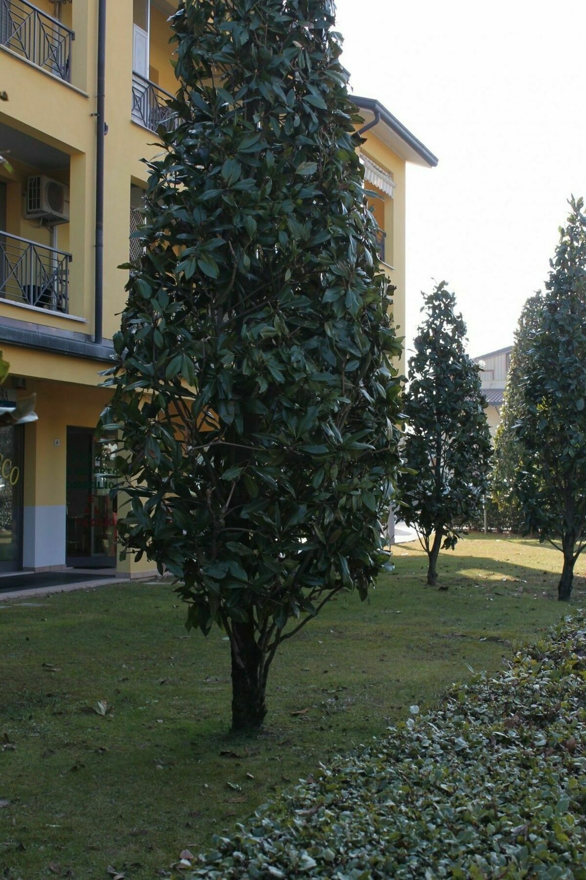 Sarno Apartments Caravaggio Сирмионе Экстерьер фото